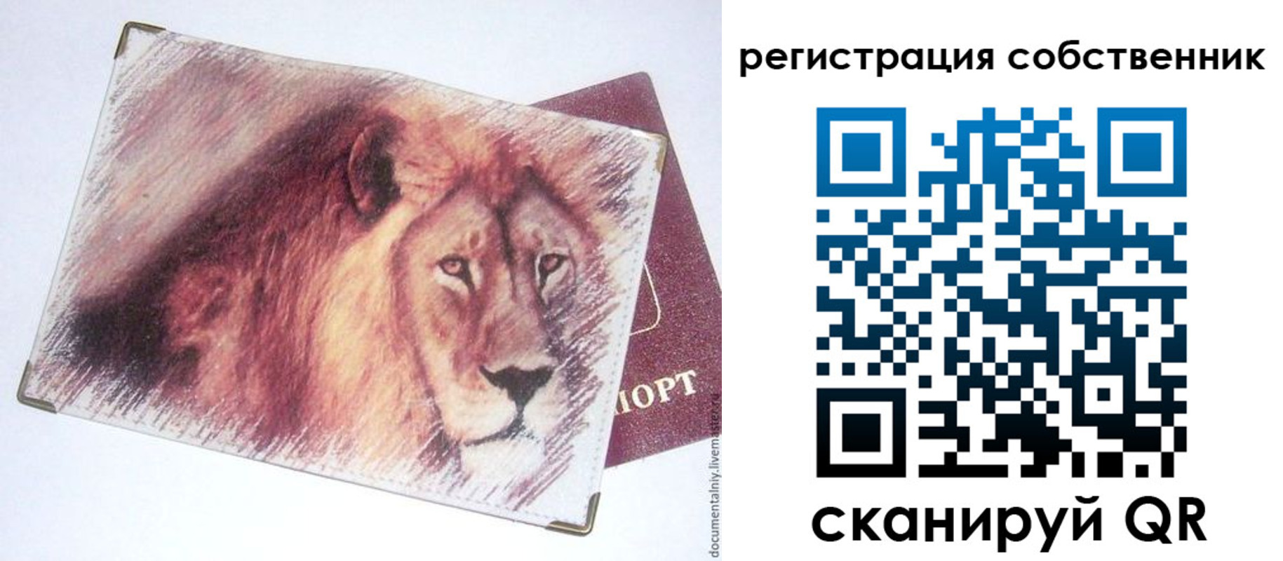 прописка поиск в Пскове